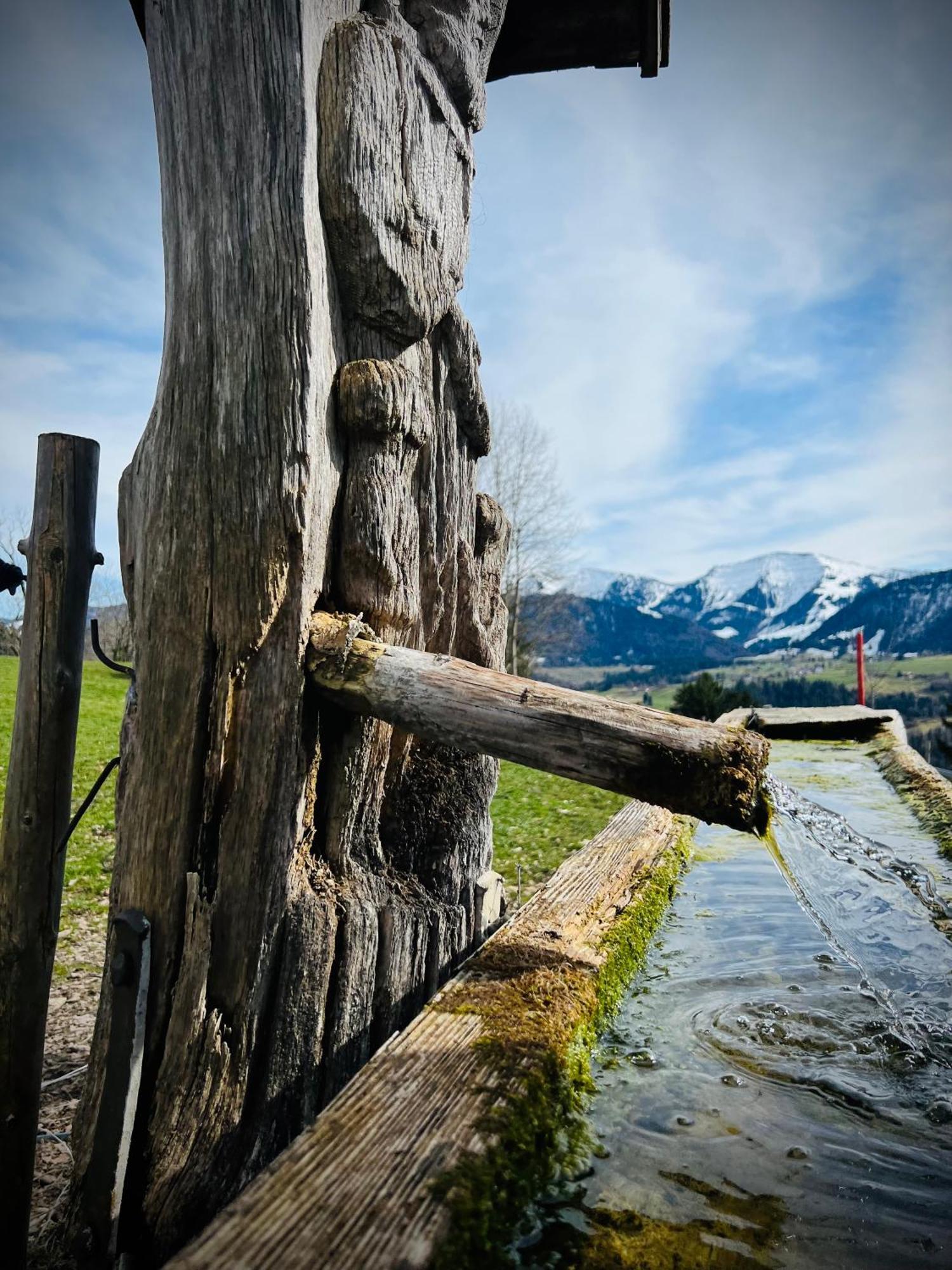 Ferienwohnung Sonneck Oberstaufen Exteriér fotografie