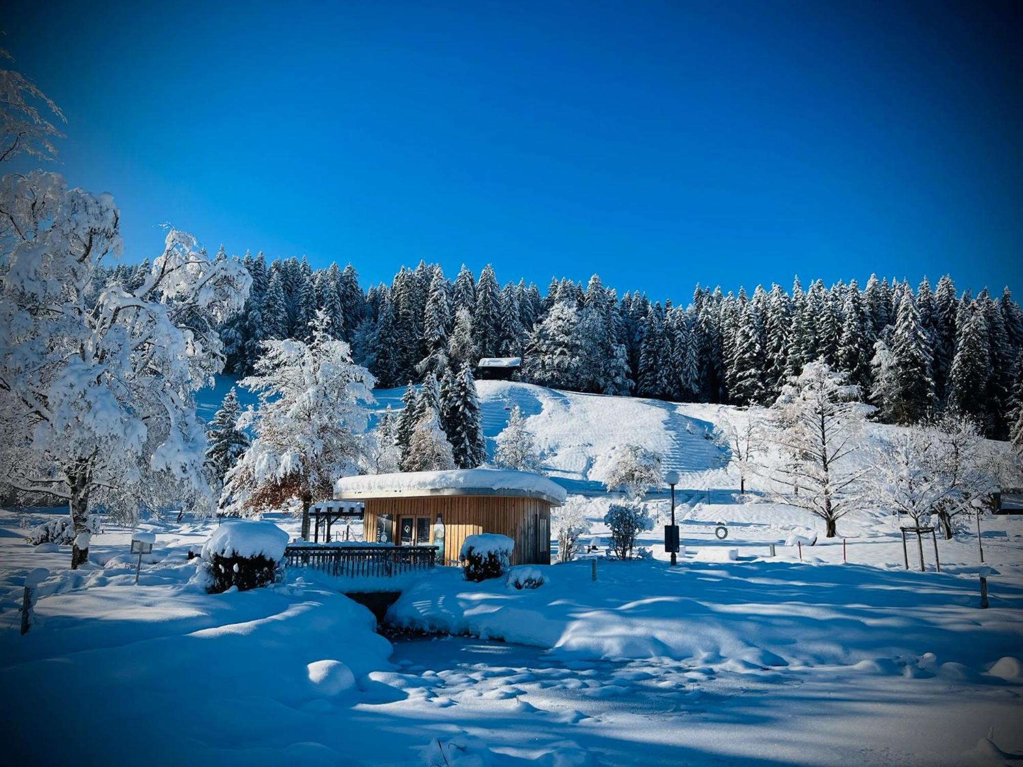 Ferienwohnung Sonneck Oberstaufen Exteriér fotografie
